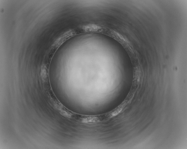 X0000083620761200702260953