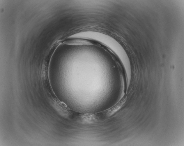 X0000083620762200702260953