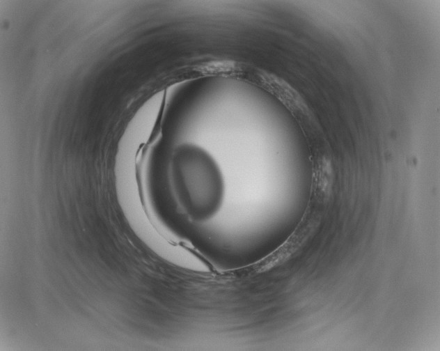 X0000083620763200702260953