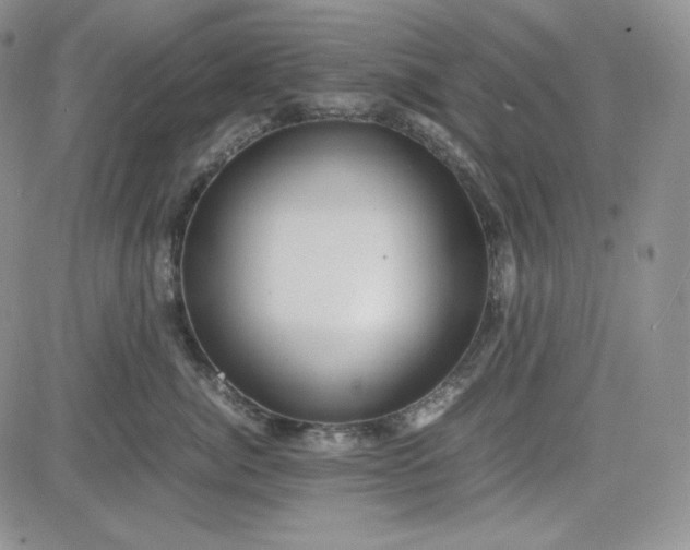 X0000083620764200702260953