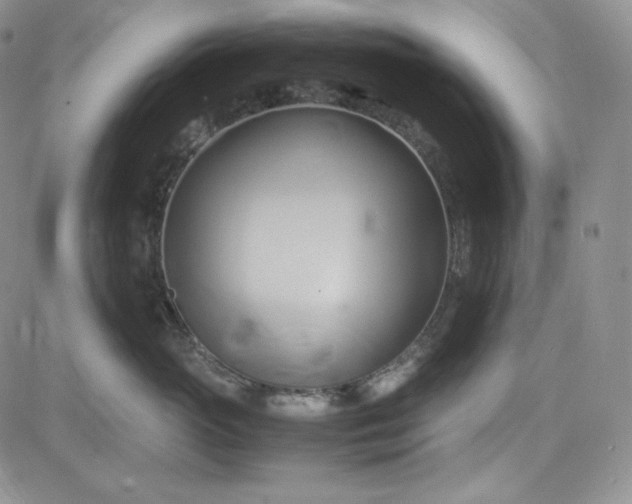 X0000083620765200702260953