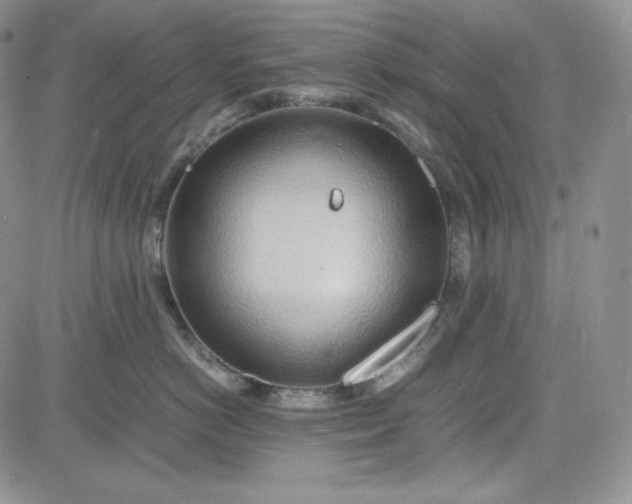 X0000083620766200702260953