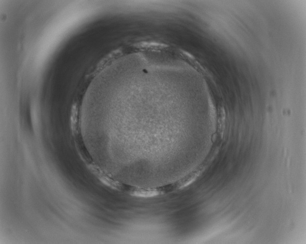 X0000083620767200702260953