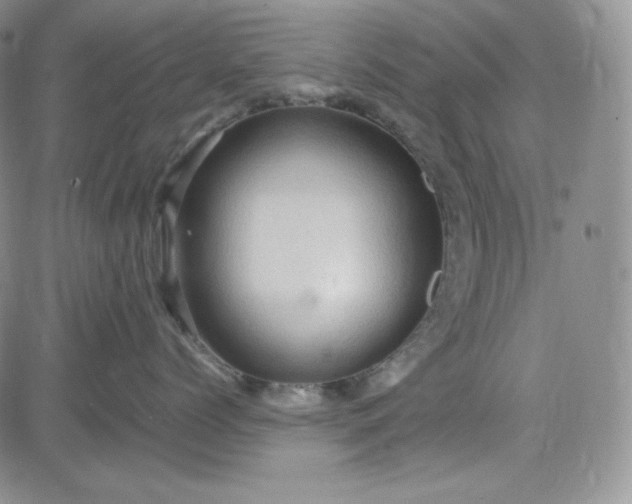 X0000083620768200702260953