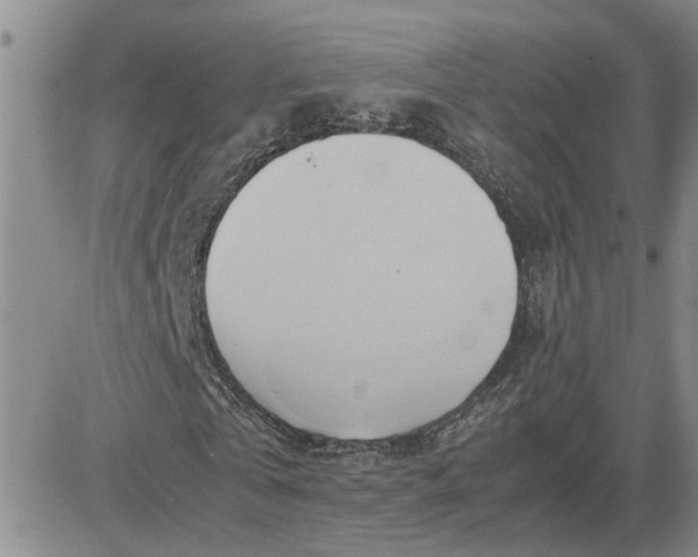 X0000083620769200702260952