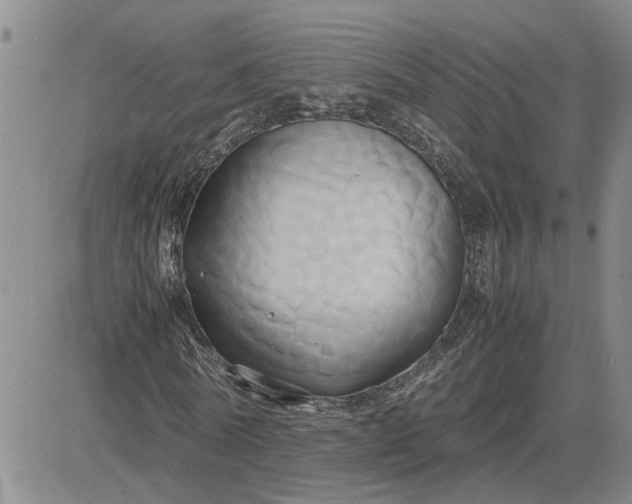 X0000083620770200702260952