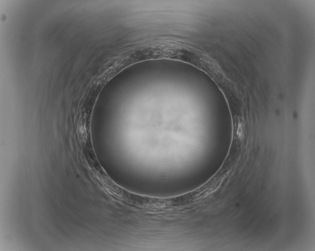 X0000083620771200702260952