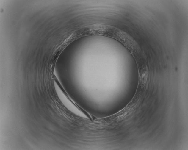 X0000083620772200702260952