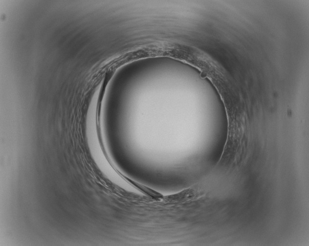 X0000083620773200702260952