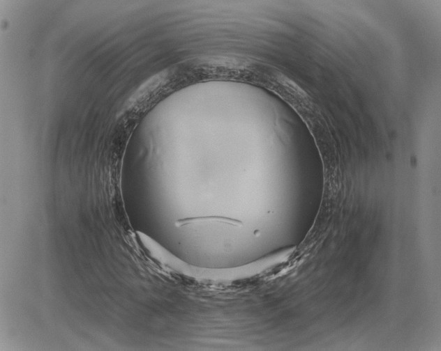 X0000083620774200702260952