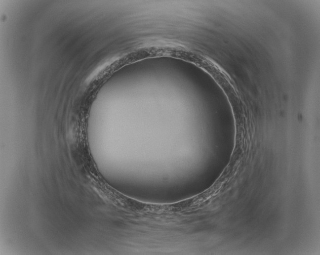 X0000083620775200702260952