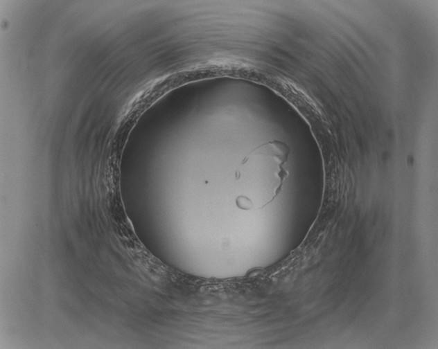 X0000083620776200702260952