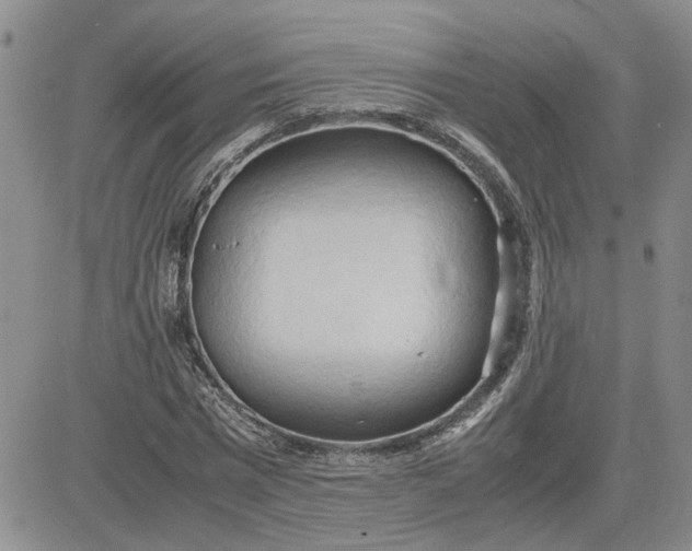 X0000083620777200702260952