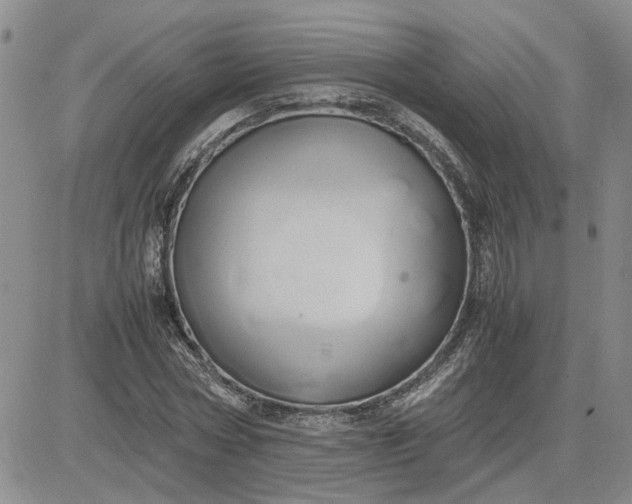 X0000083620778200702260952