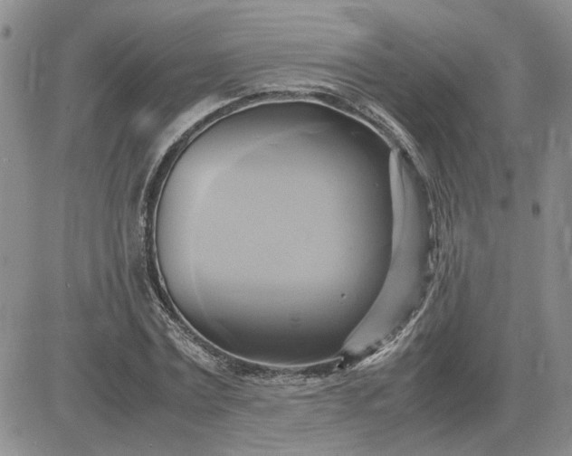 X0000083620779200702260952