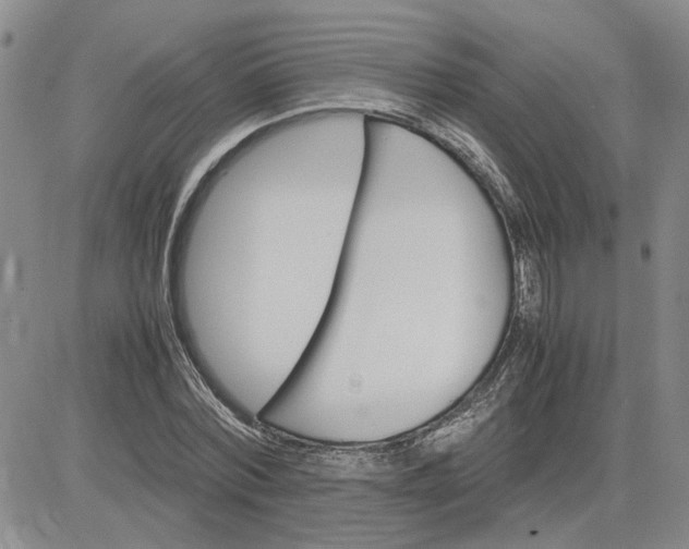 X0000083620780200702260952