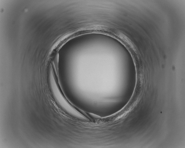 X0000083620781200702260952