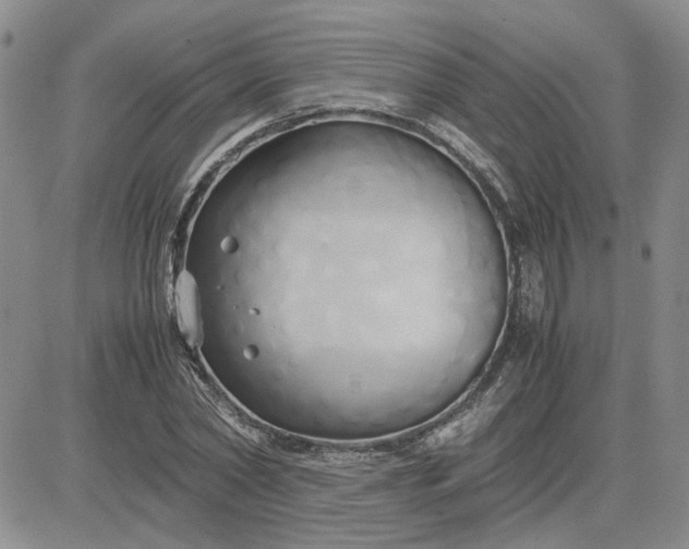 X0000083620782200702260952