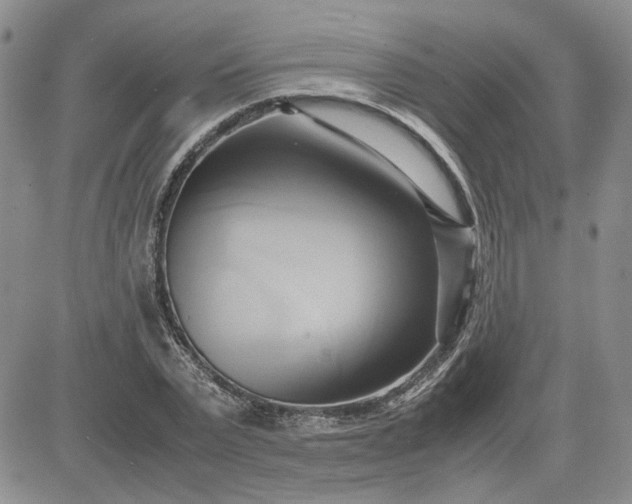 X0000083620783200702260952