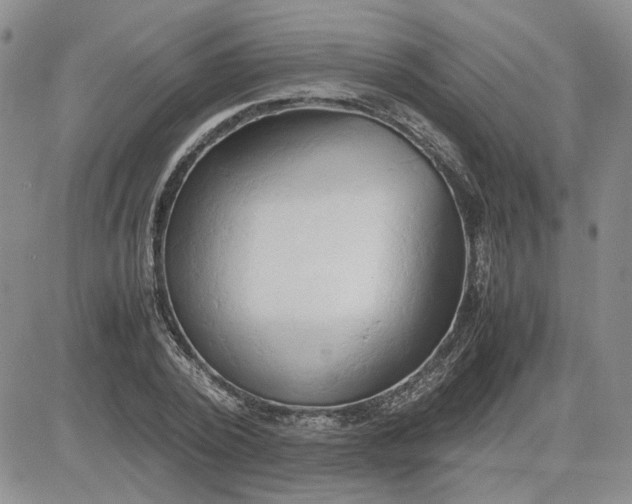 X0000083620784200702260952