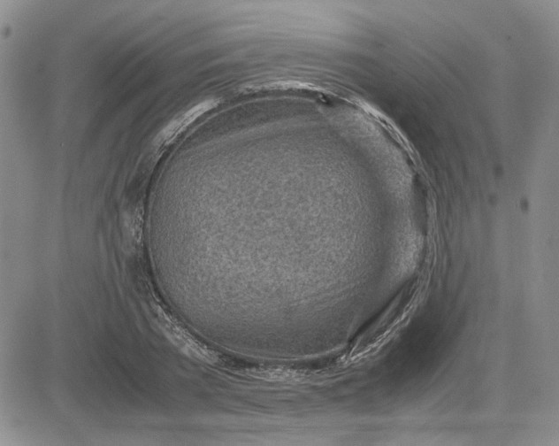 X0000083620785200702260952