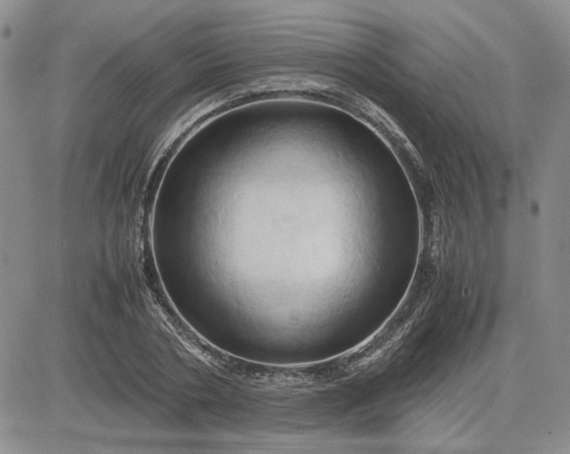 X0000083620786200702260952