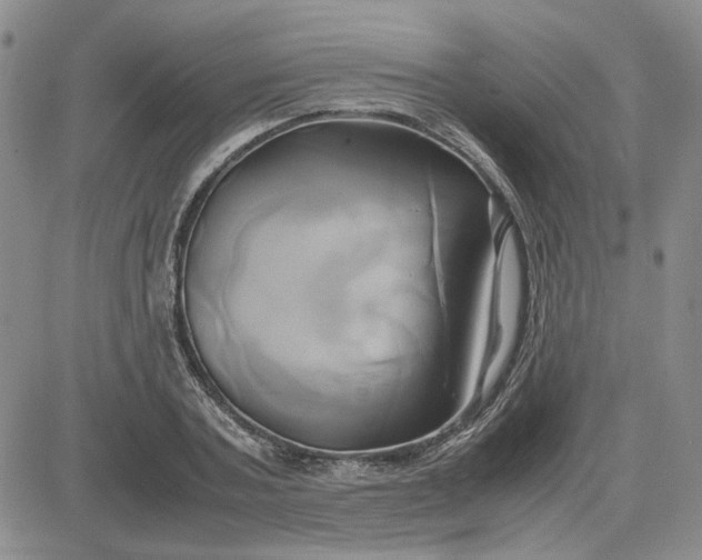 X0000083620787200702260952