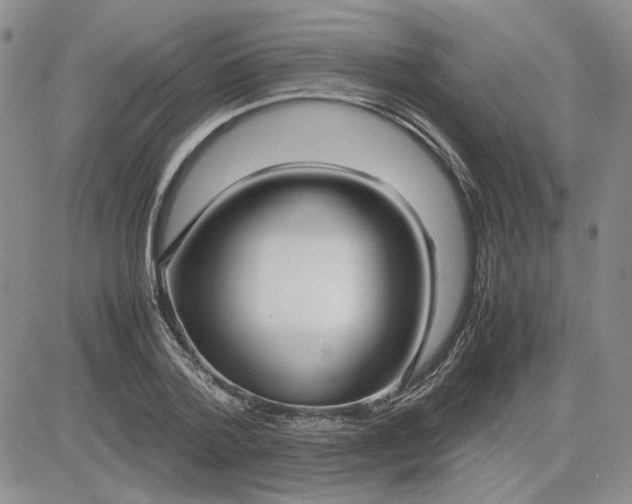 X0000083620788200702260952