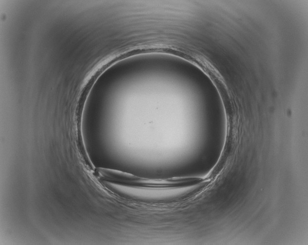 X0000083620789200702260952