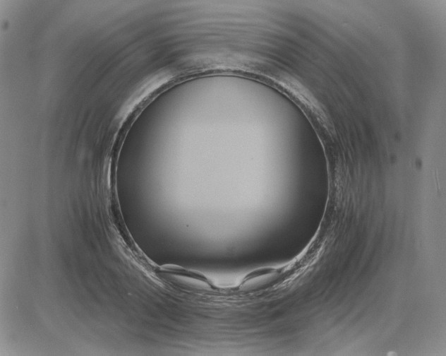 X0000083620790200702260952