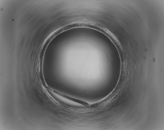 X0000083620791200702260952