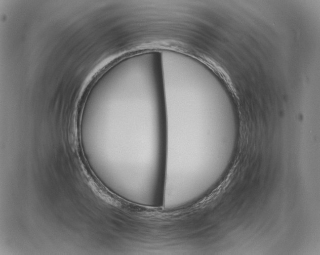 X0000083620792200702260952