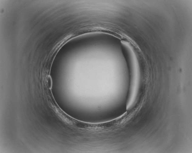 X0000083620793200702260952