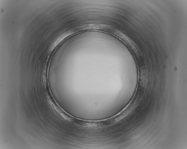 X0000083620794200702260952