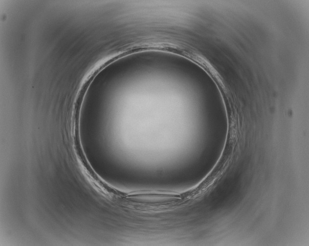 X0000083620795200702260952