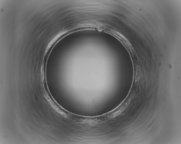 X0000083620796200702260952