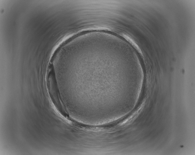 X0000083620797200702260952