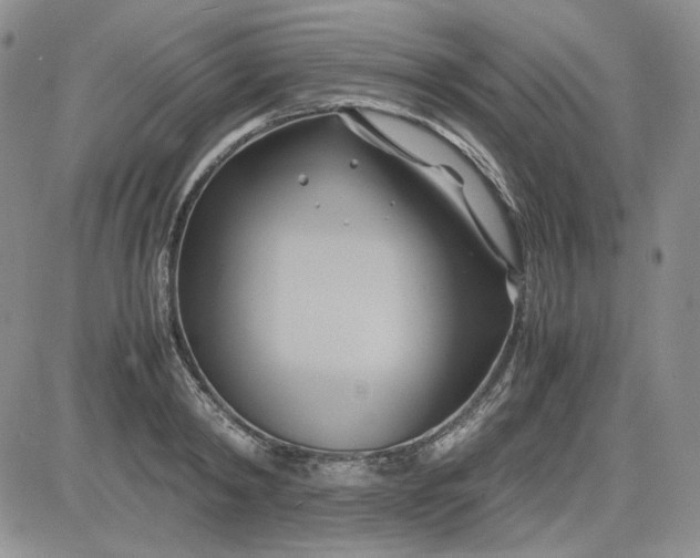 X0000083620798200702260952