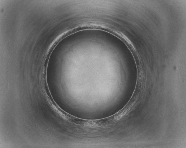 X0000083620799200702260952