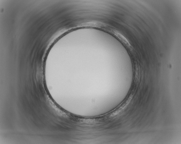 X0000083620800200702260952