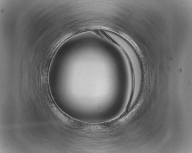 X0000083620801200702260952