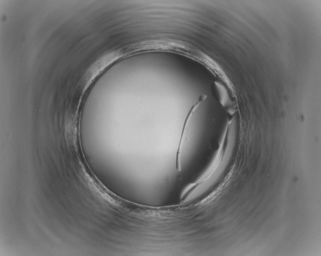 X0000083620802200702260952