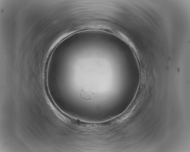 X0000083620803200702260952