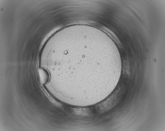 X0000083620804200702260952