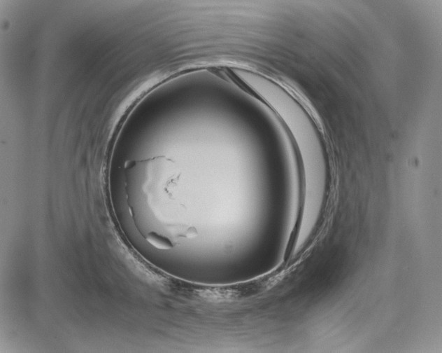 X0000083620805200702260952