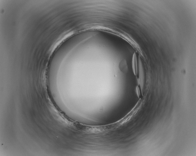 X0000083620806200702260952