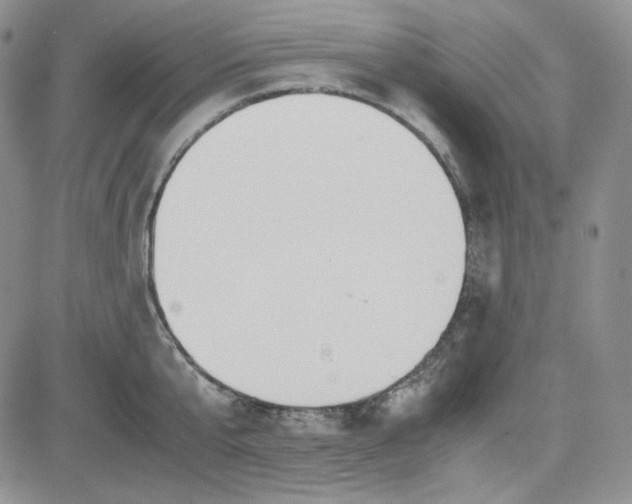 X0000083620807200702260952