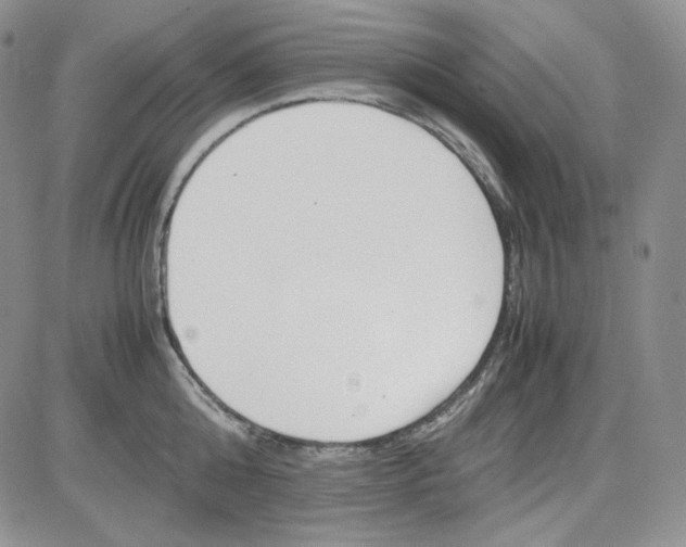 X0000083620808200702260952