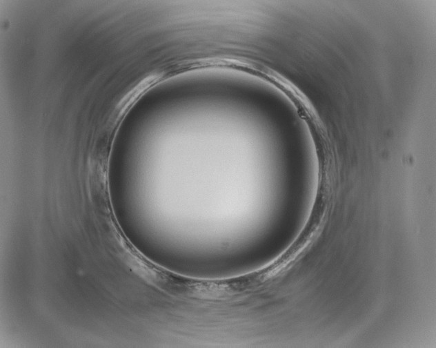 X0000083620809200702260952