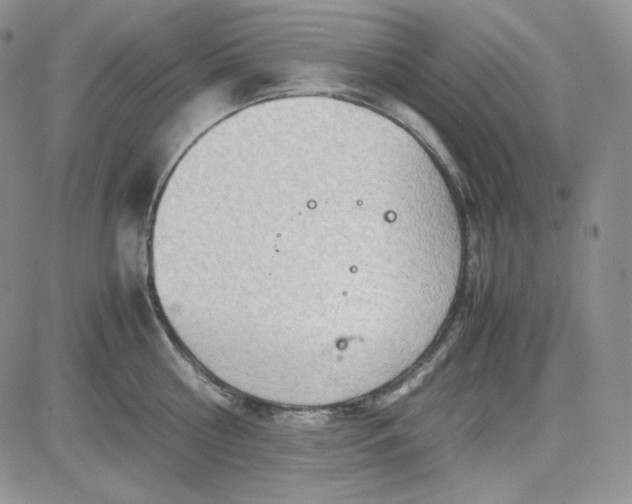 X0000083620810200702260952